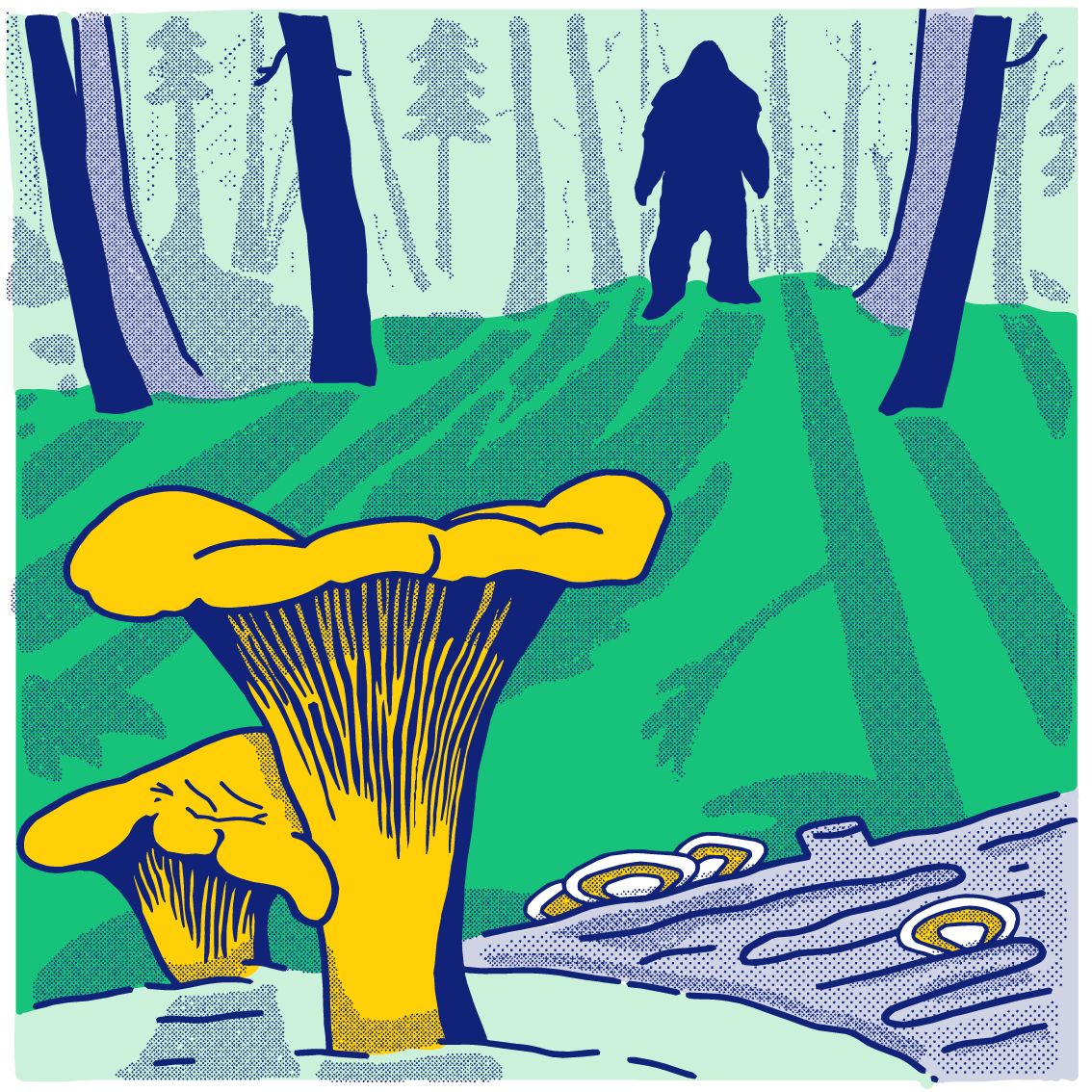 Sasquatch foraging for mushrooms in a forest